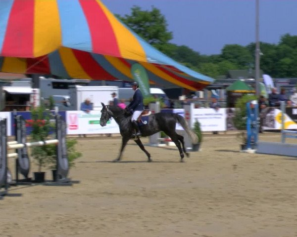 Reitturnier Borken Reitanlage Sportpferde Ehning 2023