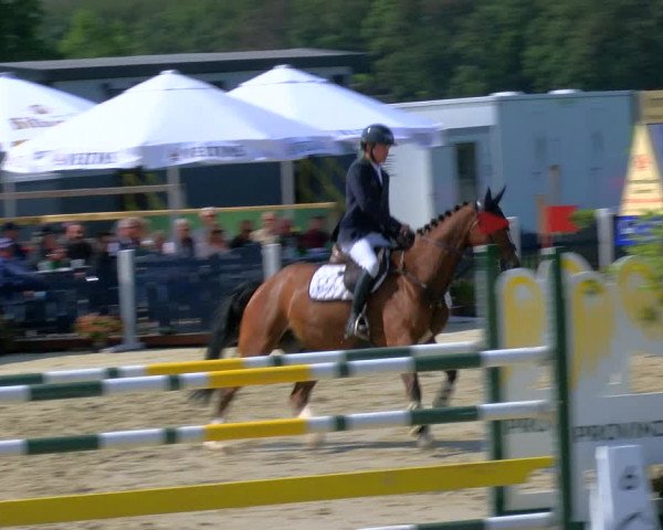 Reitturnier Borken Reitanlage Sportpferde Ehning 2023