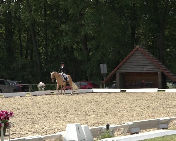 Reitturnier Mettingen 2023
