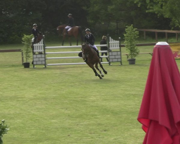 Reitturnier Pennigbüttel 2023