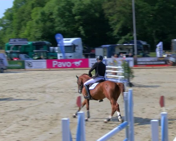 Reitturnier Borken Reitanlage Sportpferde Ehning 2023