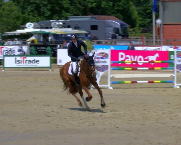 Reitturnier Borken Reitanlage Sportpferde Ehning 2023