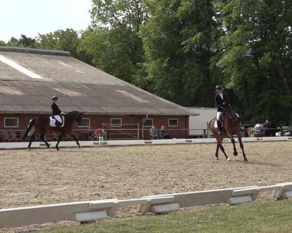 Reitturnier Mettingen 2023