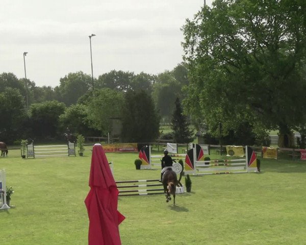 Reitturnier Pennigbüttel 2023