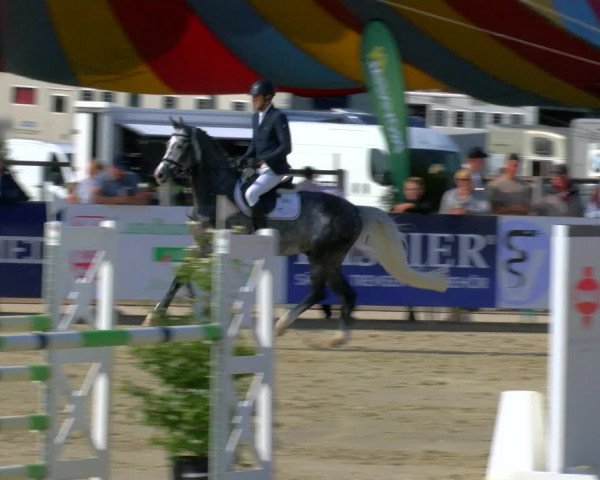 Reitturnier Borken Reitanlage Sportpferde Ehning 2023