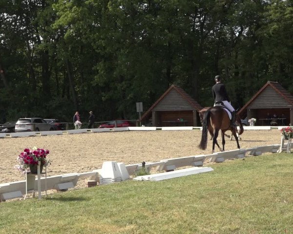 Reitturnier Mettingen 2023