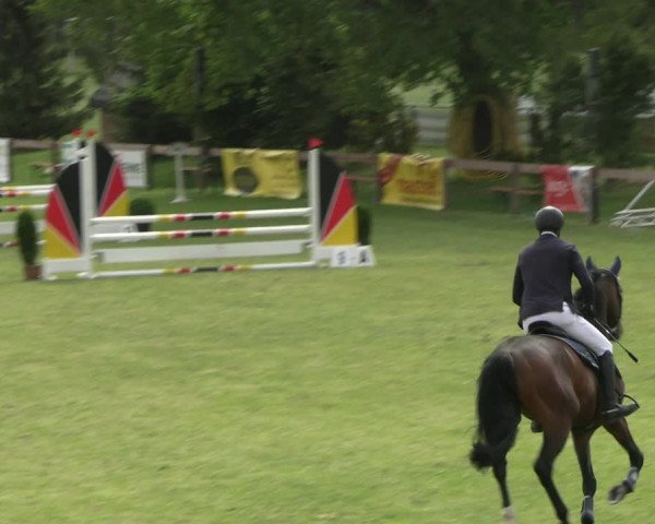 Reitturnier Pennigbüttel 2023