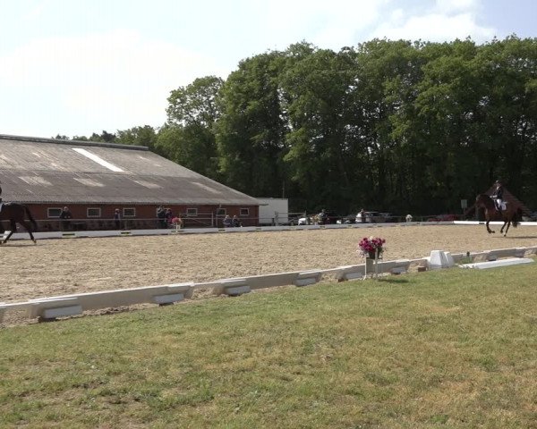 Reitturnier Mettingen 2023