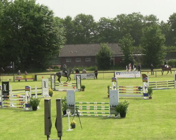 Reitturnier Pennigbüttel 2023