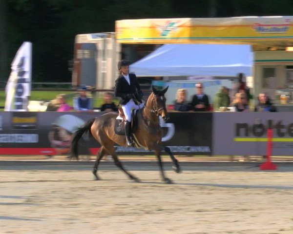 Reitturnier Borken Reitanlage Sportpferde Ehning 2023