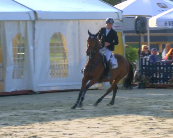 Reitturnier Borken Reitanlage Sportpferde Ehning 2023