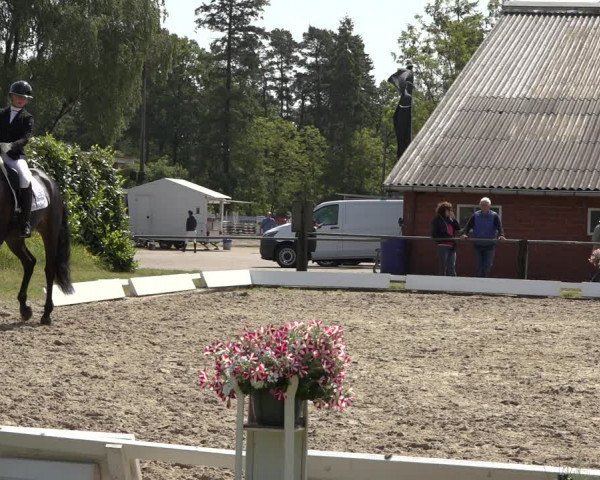 Reitturnier Mettingen 2023