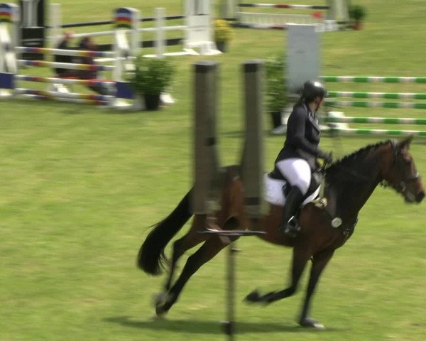 Reitturnier Pennigbüttel 2023