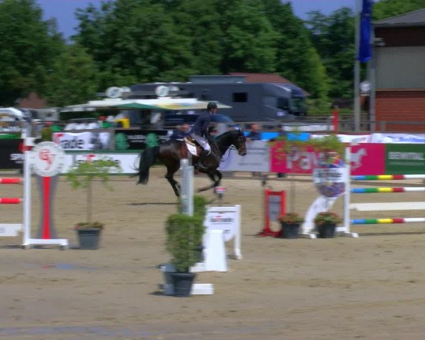 Reitturnier Borken Reitanlage Sportpferde Ehning 2023
