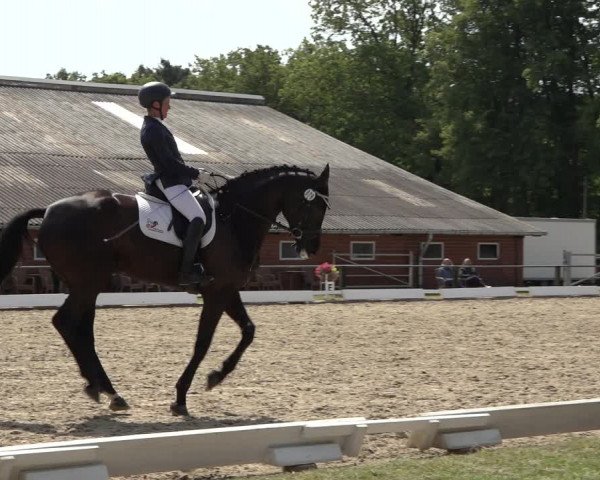 Reitturnier Mettingen 2023