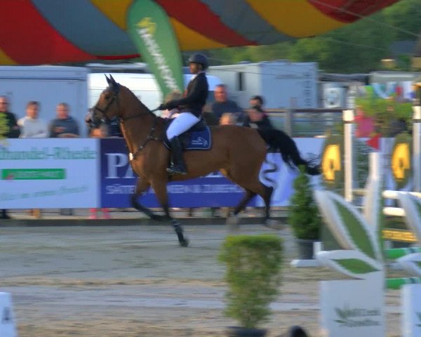 Reitturnier Borken Reitanlage Sportpferde Ehning 2023