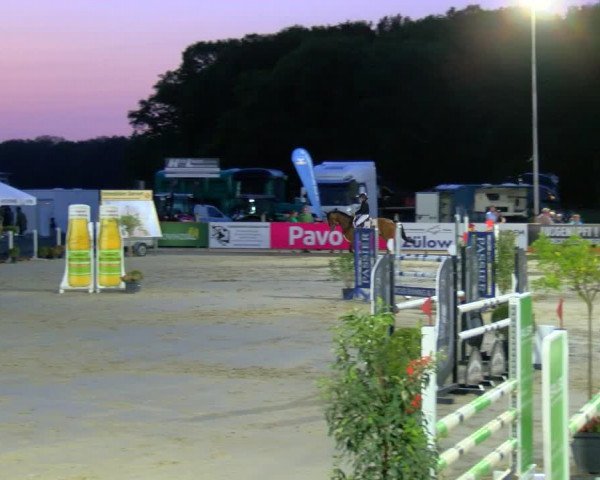 Reitturnier Borken Reitanlage Sportpferde Ehning 2023