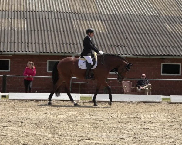 Reitturnier Mettingen 2023
