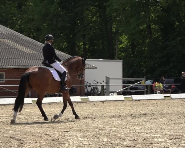Reitturnier Mettingen 2023