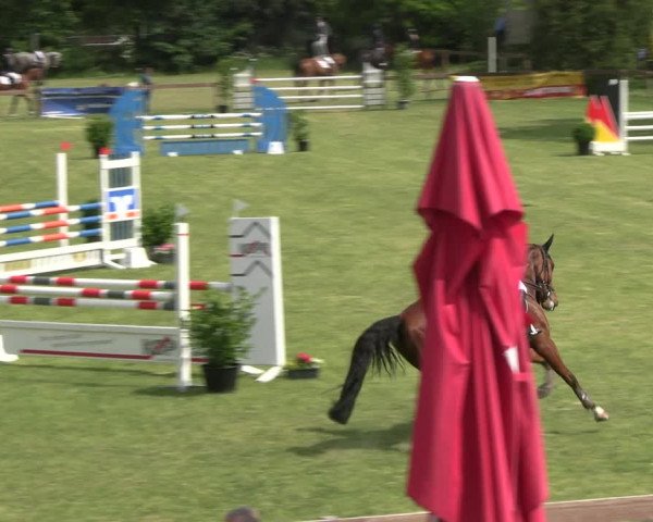 Reitturnier Pennigbüttel 2023