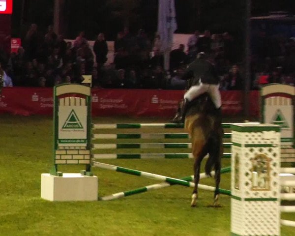 Reitturnier Cottbus-Sielow 2023