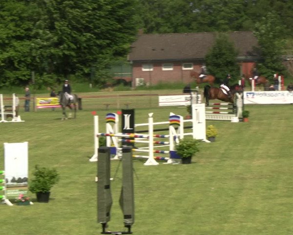 Reitturnier Pennigbüttel 2023