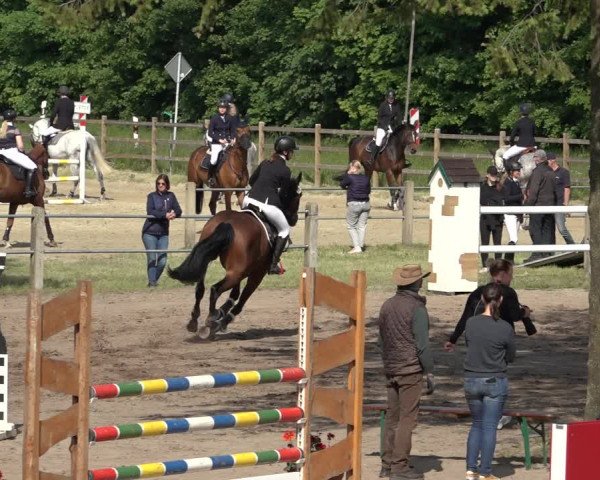 Reitturnier Mettingen 2023