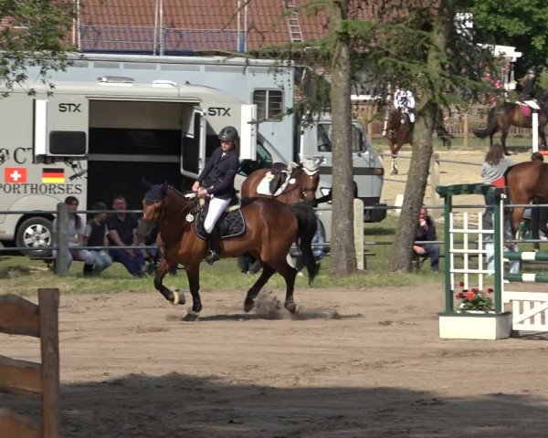 Reitturnier Mettingen 2023