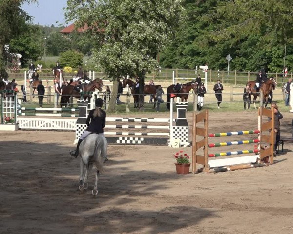 Reitturnier Mettingen 2023