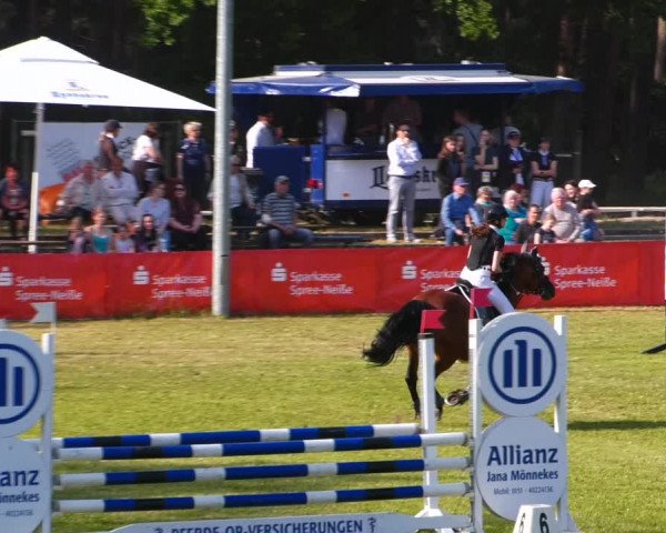 Reitturnier Cottbus-Sielow 2023