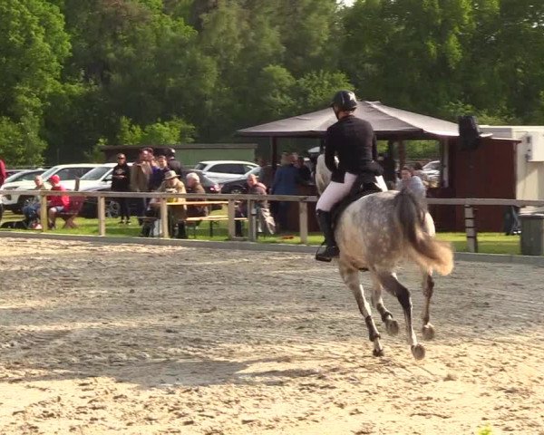 Reitturnier Kropp 2023