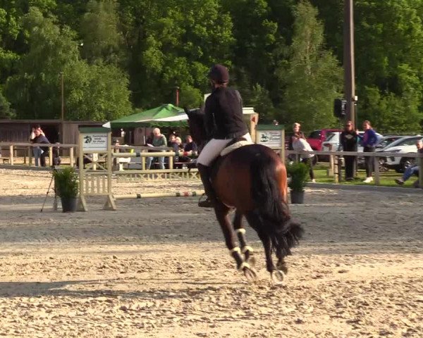 Reitturnier Kropp 2023