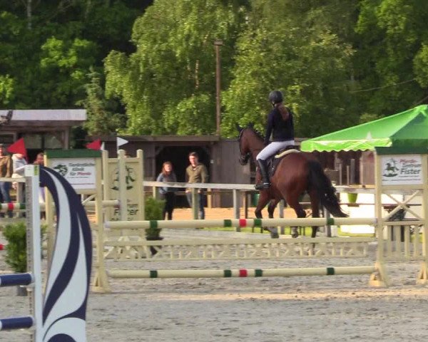 Reitturnier Kropp 2023
