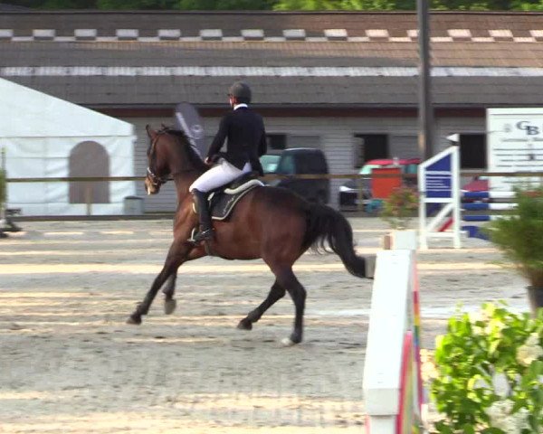 Reitturnier Kropp 2023