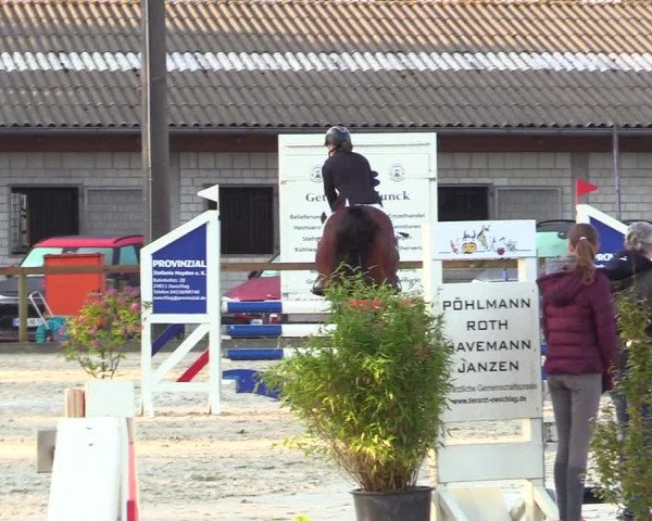 Reitturnier Kropp 2023