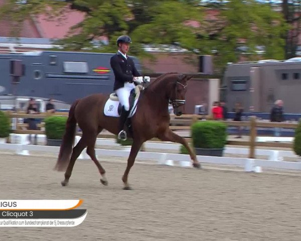 Video of Veuve Clicquot FRH