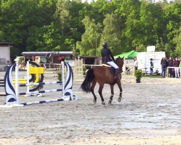 Jezdecký turnaj Kropp 2023