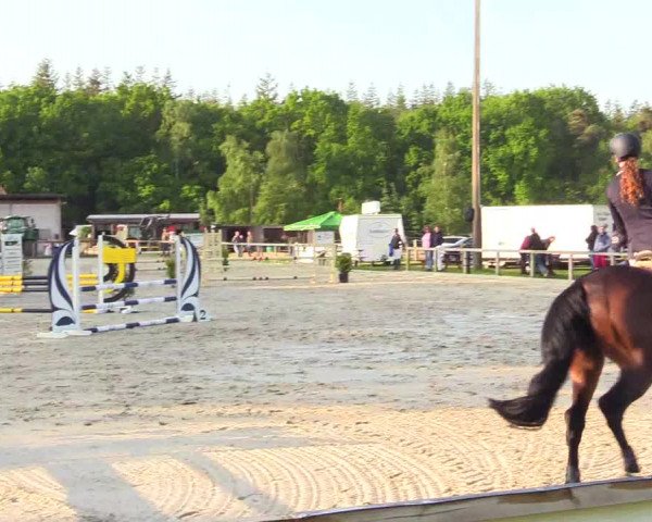 Reitturnier Kropp 2023