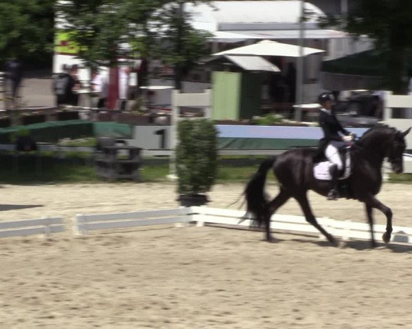 Reitturnier Bochum 2023