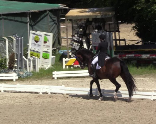 Reitturnier Bochum 2023