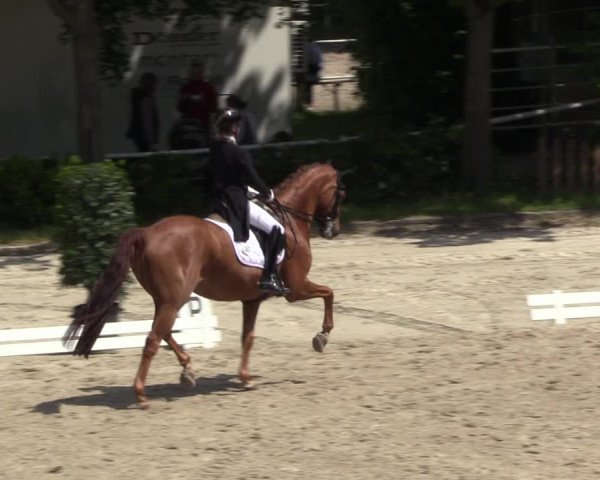 Reitturnier Bochum 2023