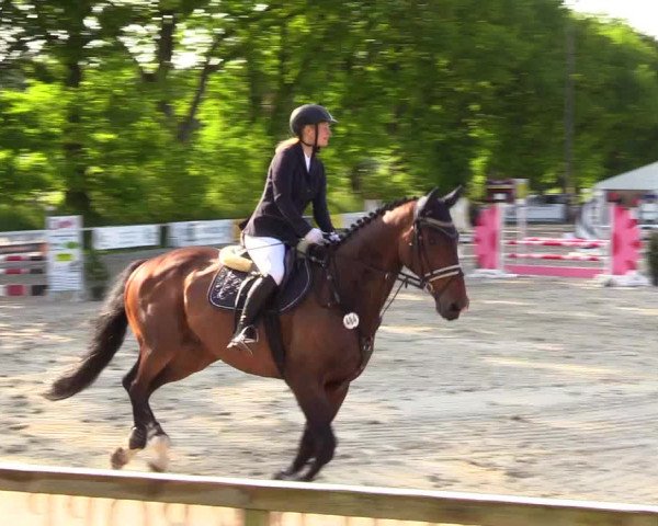 Reitturnier Kropp 2023