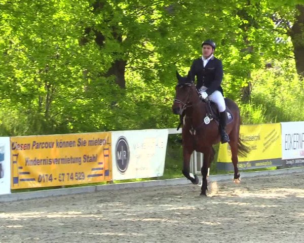 Reitturnier Kropp 2023