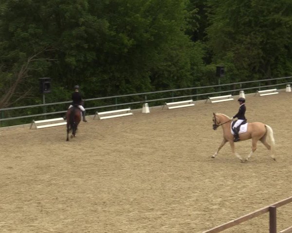 Reitturnier Iserlohn-Kalthof 2023