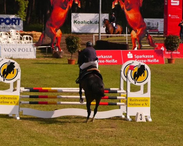 Reitturnier Cottbus-Sielow 2023