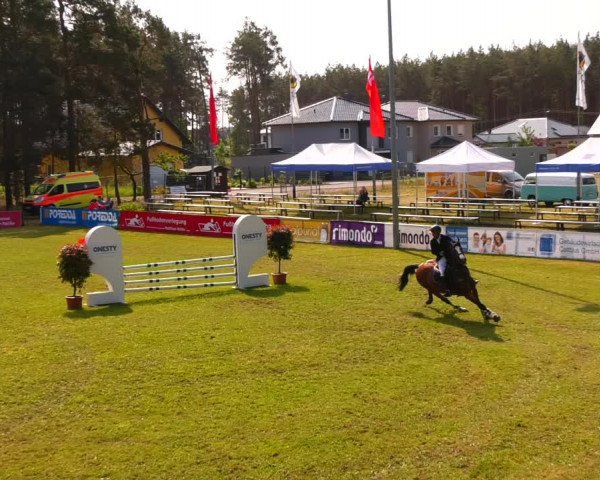 Reitturnier Cottbus-Sielow 2023