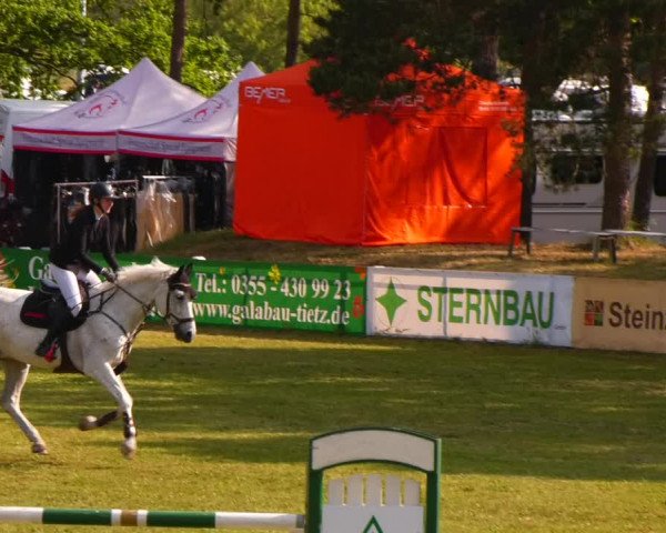 Reitturnier Cottbus-Sielow 2023