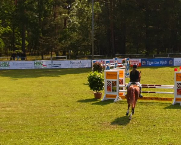 Reitturnier Cottbus-Sielow 2023