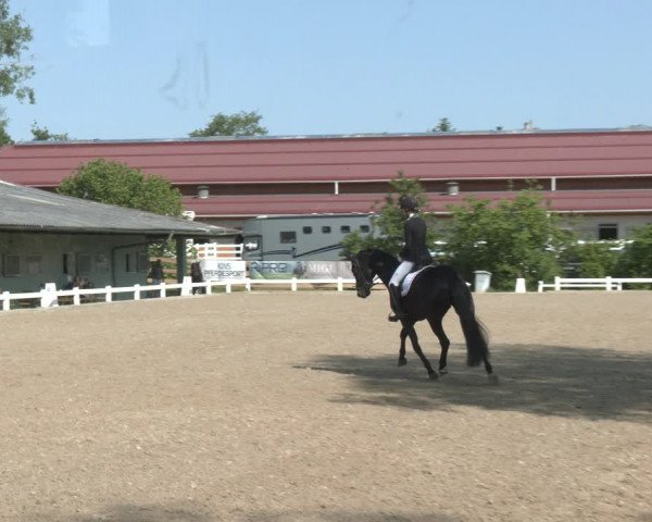 Reitturnier Kreuttal - Frey Horses 2023