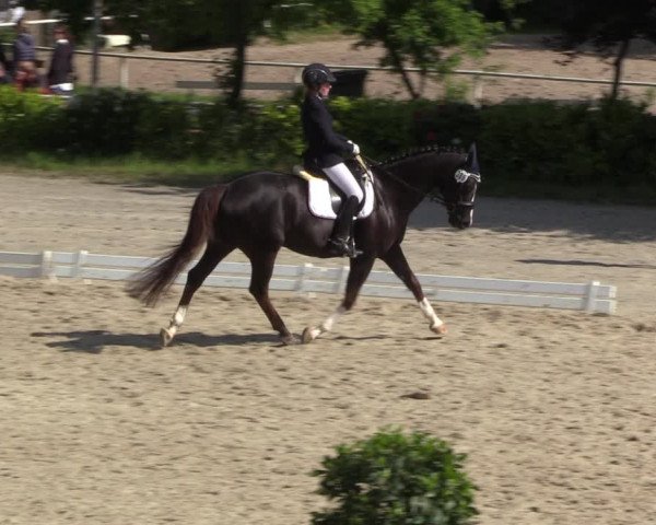Reitturnier Bochum 2023